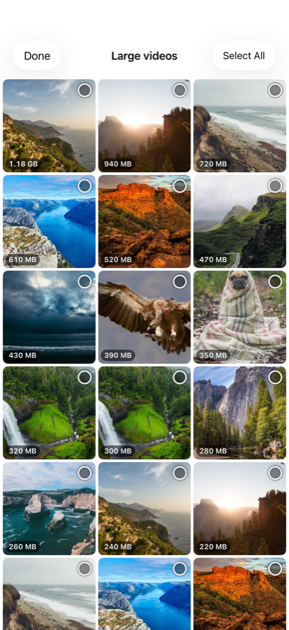 Large videos sorted biggest first, each showing its exact size